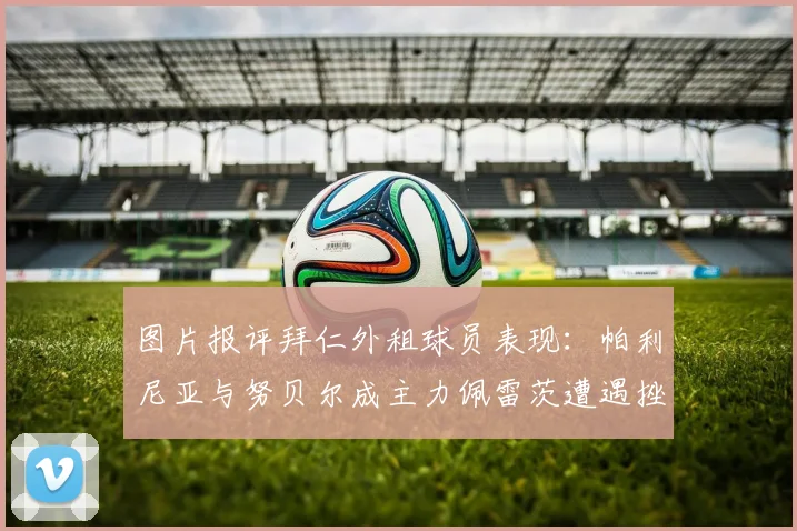 图片报评拜仁外租球员表现：帕利尼亚与努贝尔成主力佩雷茨遭遇挫折