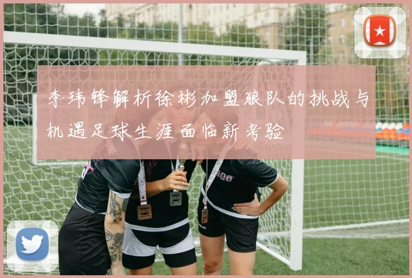 李玮锋解析徐彬加盟狼队的挑战与机遇足球生涯面临新考验